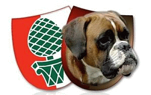 BK Augsburg Logo