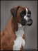 38-Vadim-du-Val-d'europe
